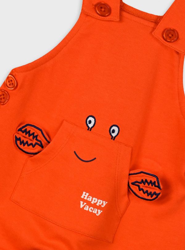 Set t-shirt and dungarees for baby boys (0 - 18 months)