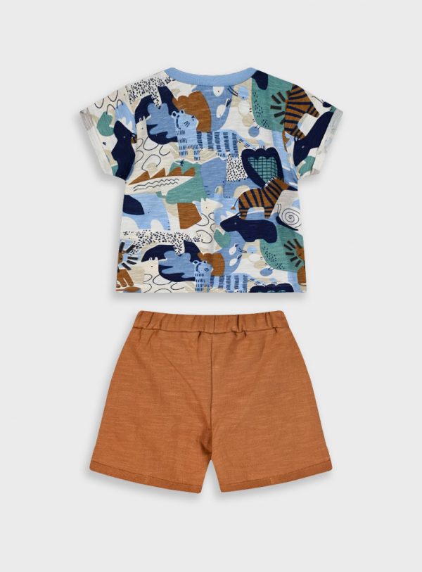 Set t-shirt and shorts for baby boys (3 - 18 months)
