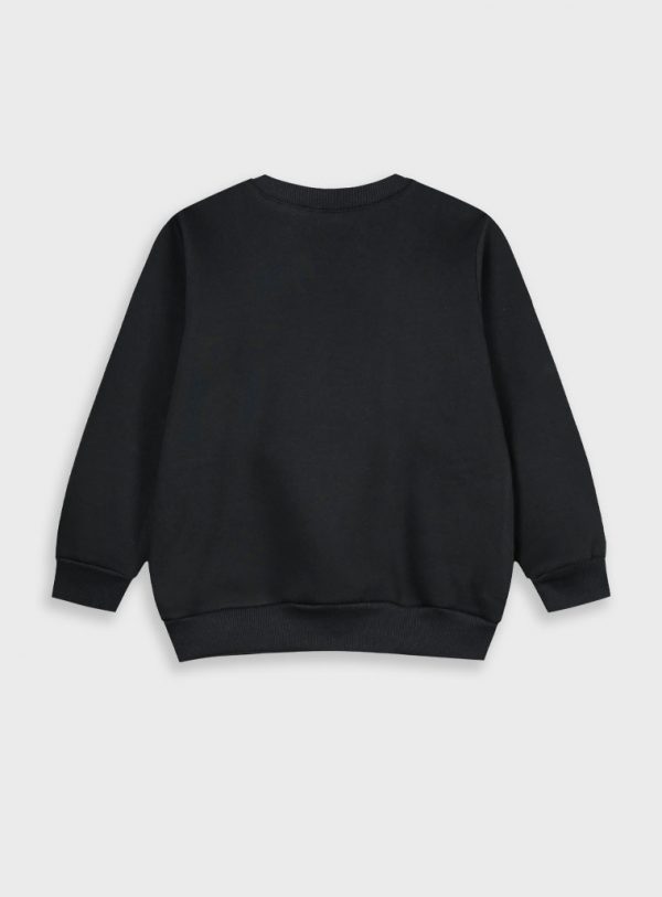 Energiers Basic Line sweatshirt