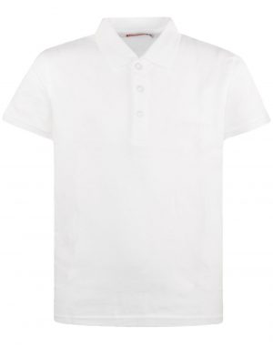 Blouse polo short-sleeved basic line