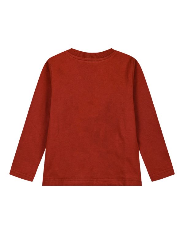 Longsleeved t-shirt