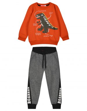 Boy΄s printed sweatshirt