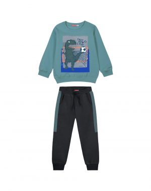 Boy΄s printed sweatshirt