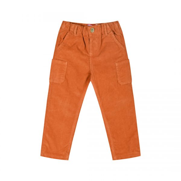 Corduroy pants