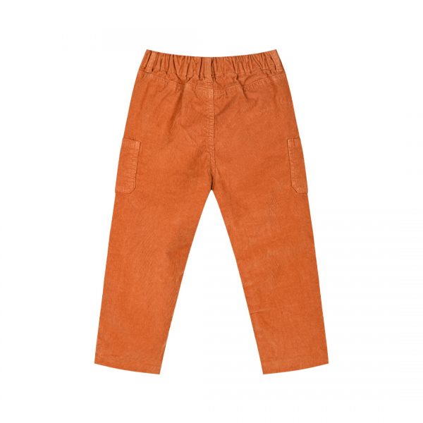 Corduroy pants