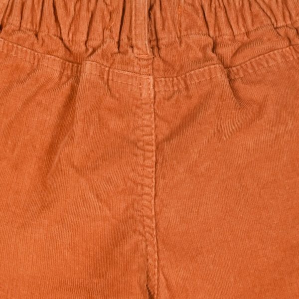 Corduroy pants