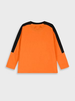 Longsleeved t-shirt
