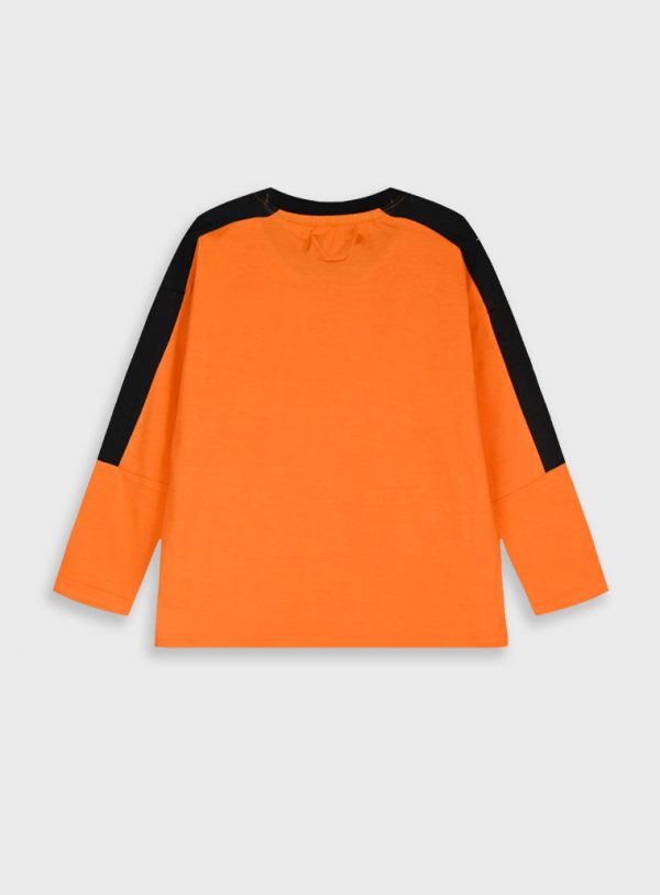 Longsleeved t-shirt