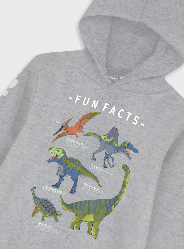 Φούτερ φόρμα με τύπωμα Φούτερ φόρμα με τύπωμα