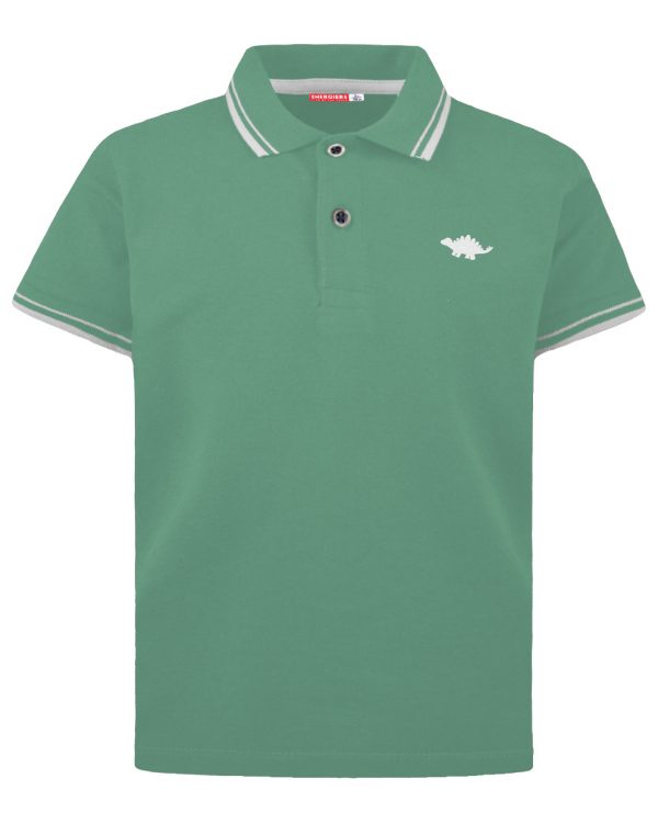 Polo t-shirt for boys
