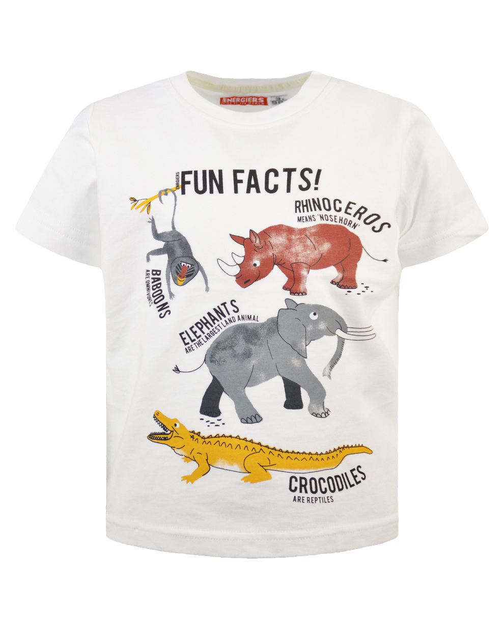 Jersey blouse print Fun Facts | Kids Garden