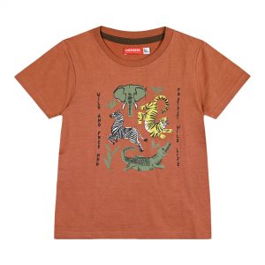 Boy΄s t-shirt with print