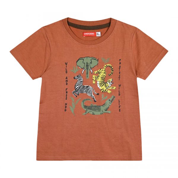 Boy΄s t-shirt with print