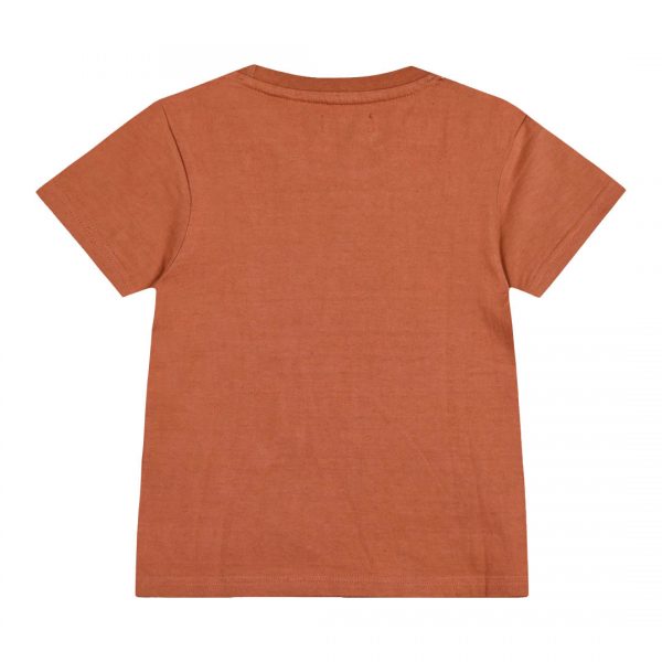 Boy΄s t-shirt with print