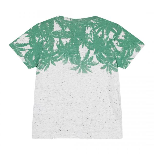 Boy΄s t-shirt with print