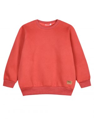 Energiers Basic Line sweatshirt for boys