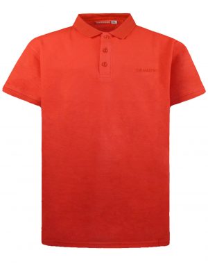Basic Line polo for boys