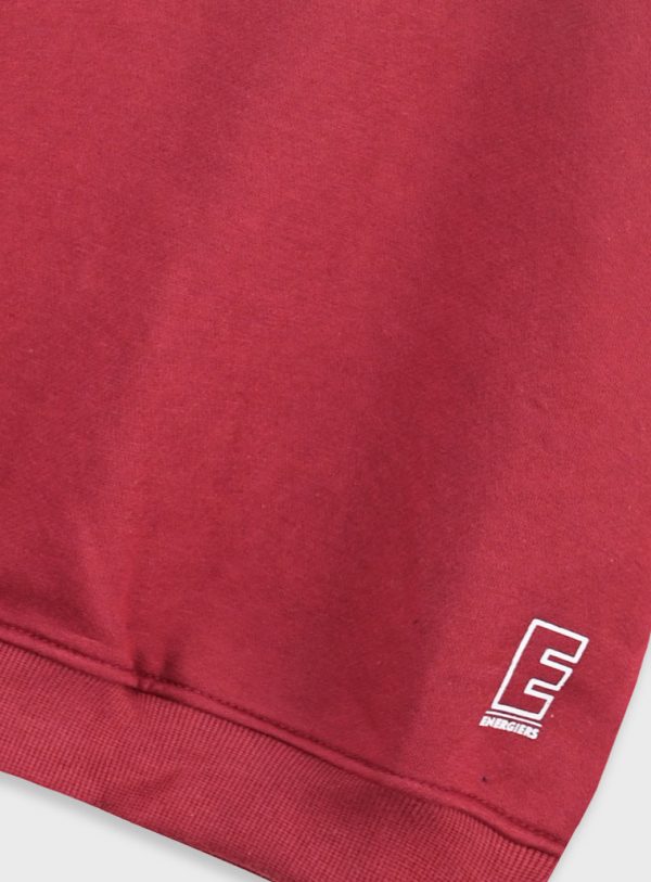 Energiers Basic Line Hooded Sweatshirt for Boys