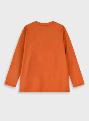 Longsleeved t-shirt