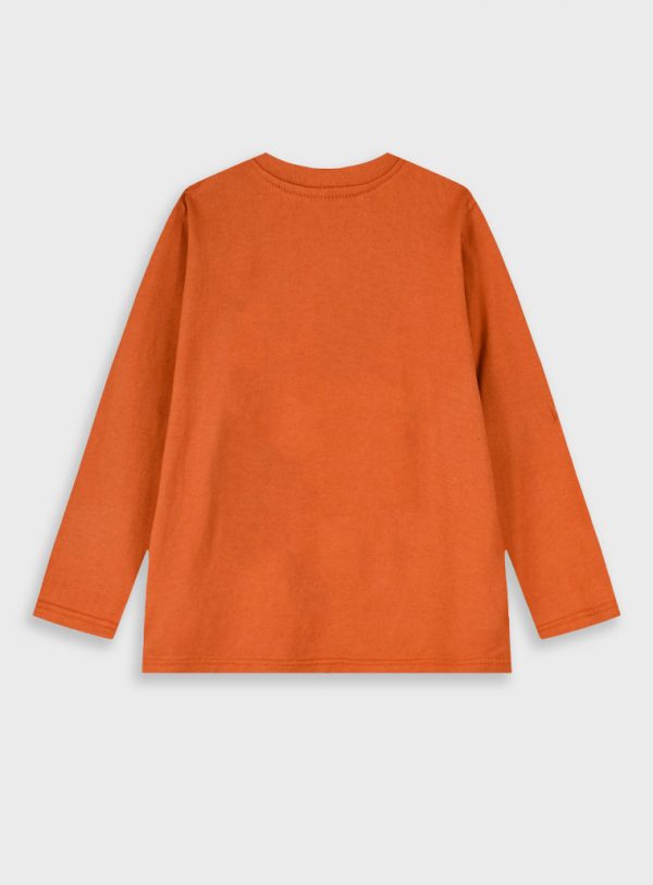 Longsleeved t-shirt