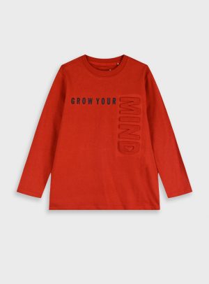 Longsleeved t-shirt