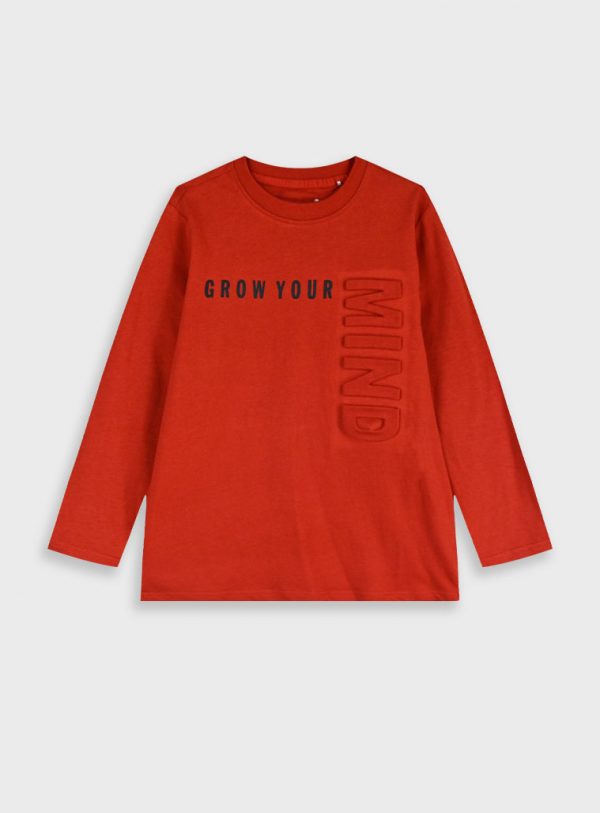Longsleeved t-shirt