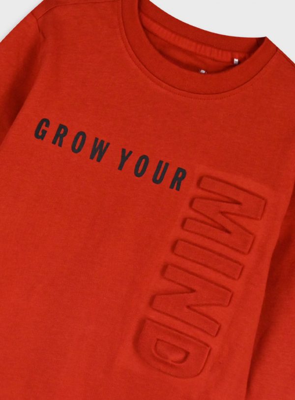Longsleeved t-shirt