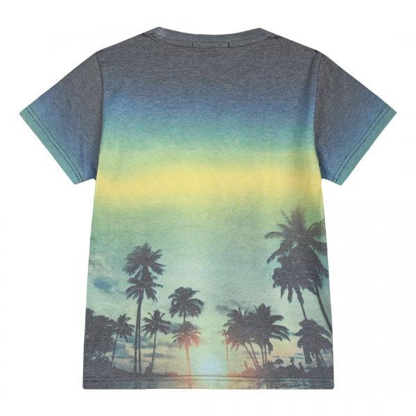 Boy΄s t-shirt with print