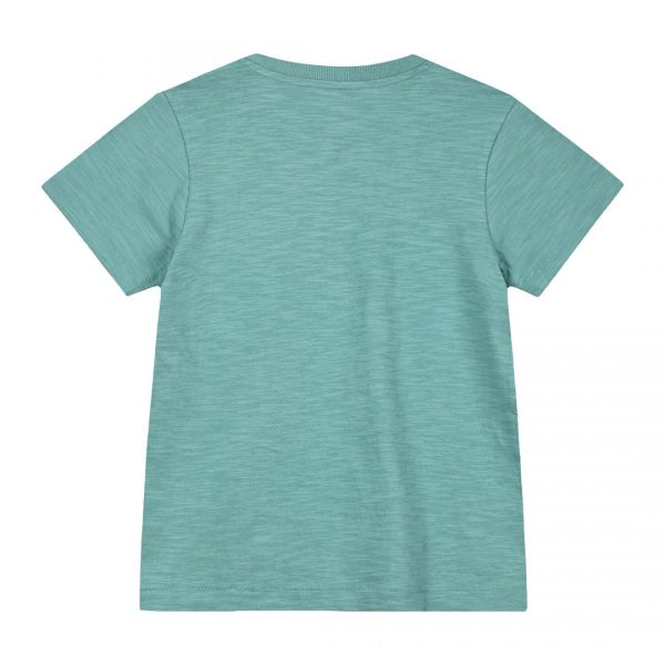 Boy΄s t-shirt with print