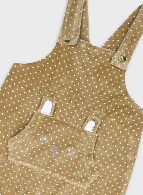 Baby 2 piece set shirt with overalls
