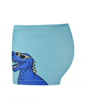 Swimwear dinosaur
